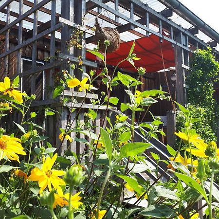 Holzhaus Mit Gruener Aussicht Zum Erholen Villa Burgheim ภายนอก รูปภาพ