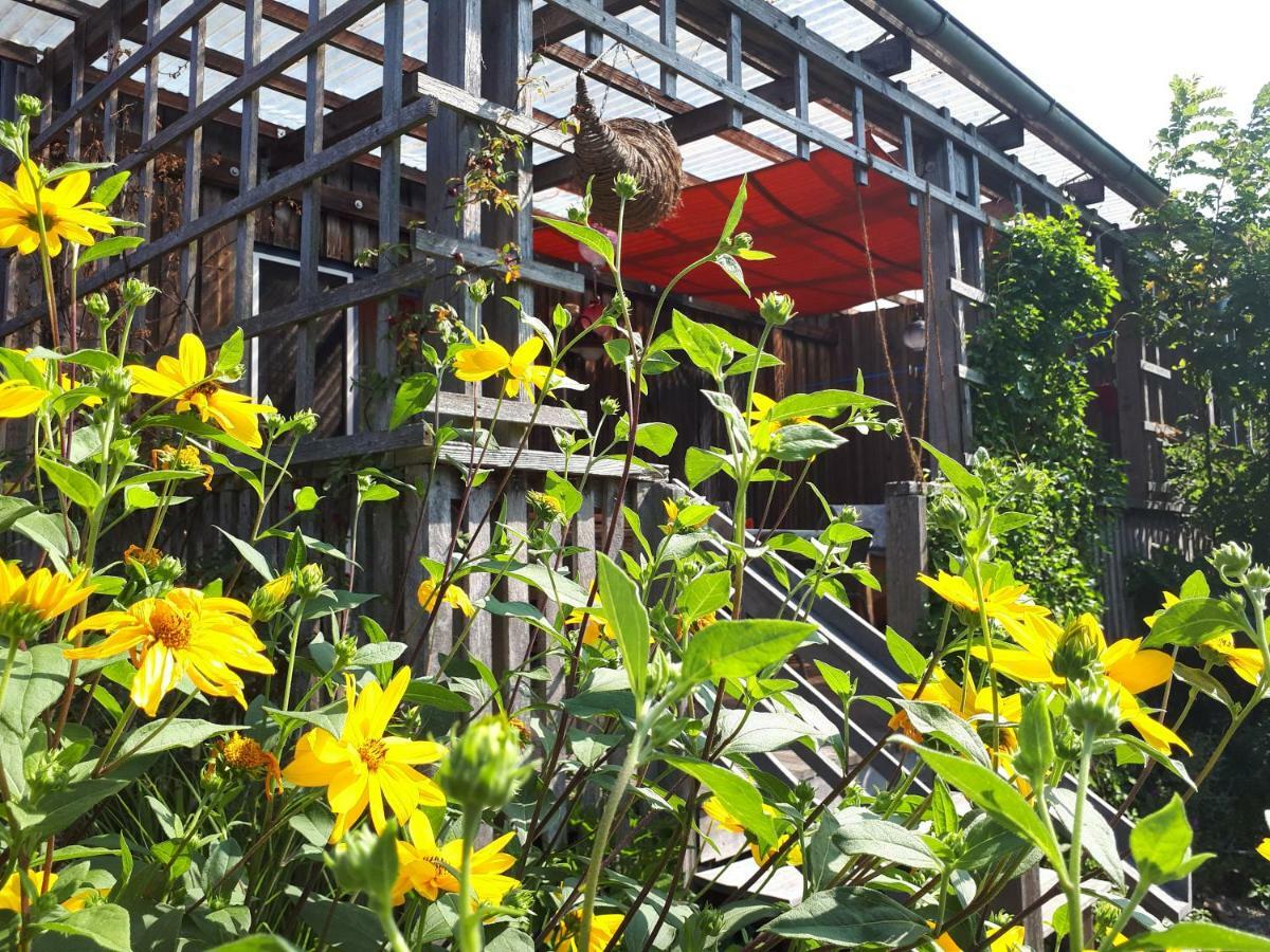 Holzhaus Mit Gruener Aussicht Zum Erholen Villa Burgheim ภายนอก รูปภาพ